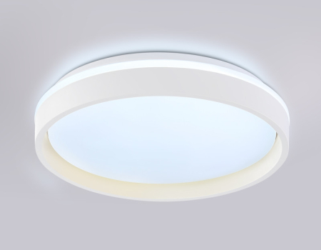 Накладной светильник Ambrella Light FZ601