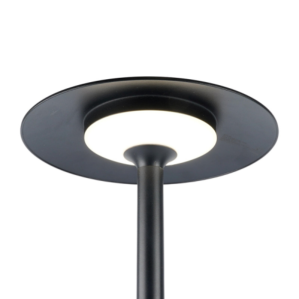 Садово-парковый светильник Feron 51980