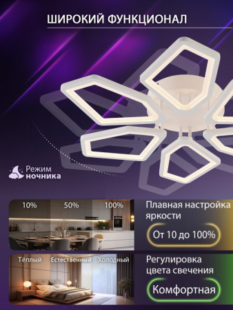 Накладная люстра Natali Kovaltseva LED LAMPS 81443