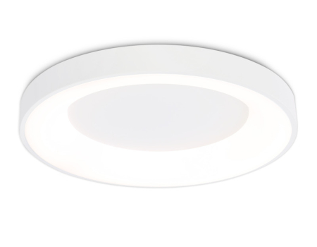 Накладной светильник Ambrella Light FZ1401