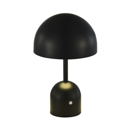 Настольная лампа Evoluce SLE1806-404-01