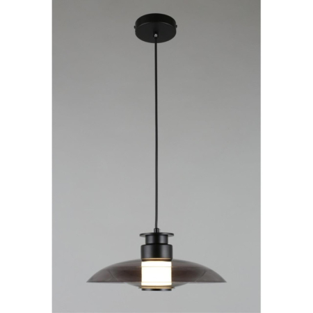 Подвесной светильник APLOYT APL.648.06.10