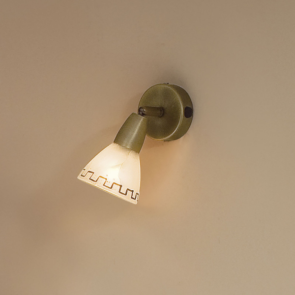 Спот Citilux CL507513