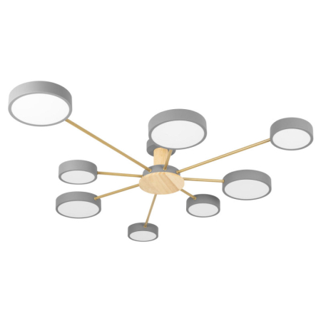 Накладной светильник LOFT IT 10316/8 Grey