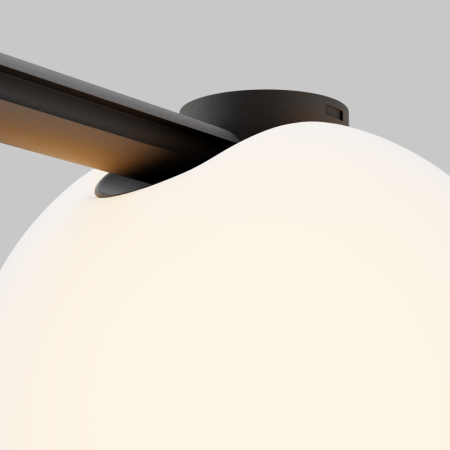 Светильник на шине Maytoni Technical TR236-1-5W3K-B