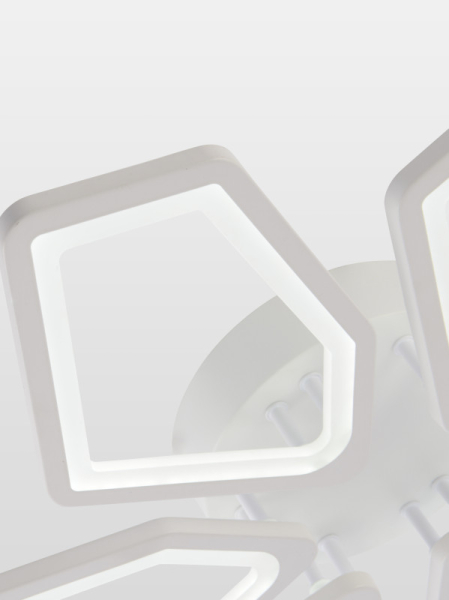 Накладная люстра Natali Kovaltseva LED LAMPS 81443