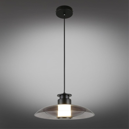 Подвесной светильник APLOYT APL.648.06.10