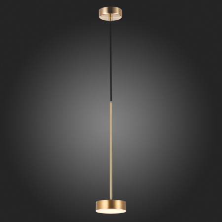 Подвесной светильник ST-Luce SL6000.303.01