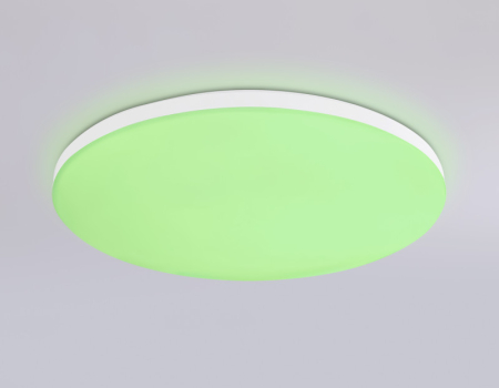 Накладной светильник Ambrella Light FZ2001