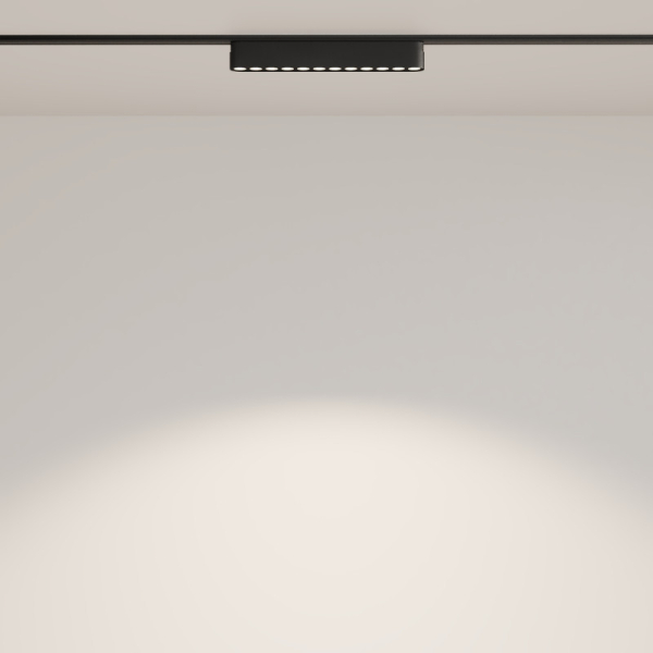Светильник на шине Maytoni Technical TR082-1-12W4K-M-B
