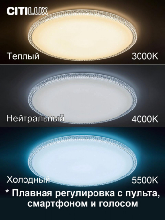 Накладной светильник Citilux CL718A100G