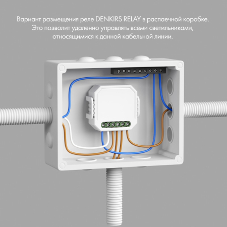 Wi-Fi реле Denkirs RL1001-SM