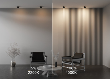 Встраиваемый светильник Maytoni Technical DL024-12W-DTW-B