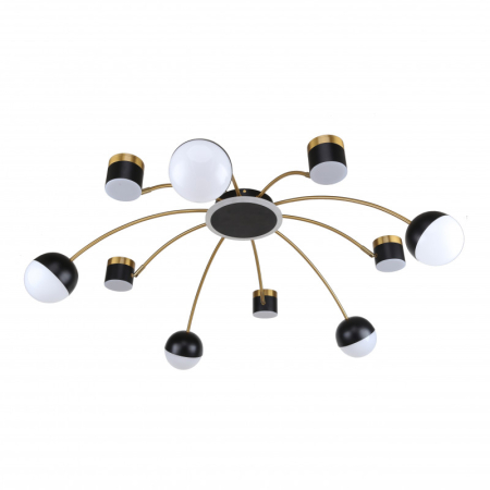 Накладная люстра F-Promo 3096-10P