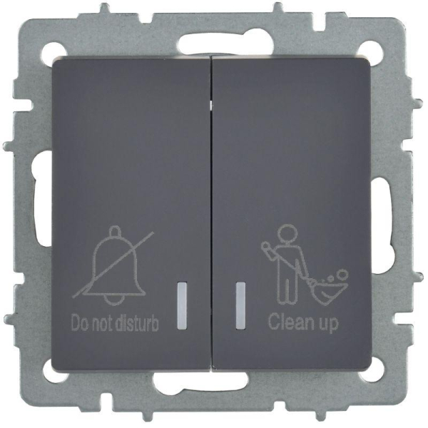 Выключатель 2-кл. BRITE 10А ВС10-2-9-БрГ для отелей с индик. механизм графит IEK BR-V20-2-10-K53