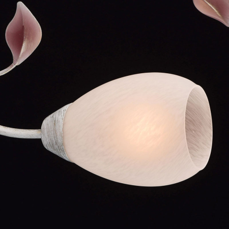 Накладная люстра MW-Light 242016508