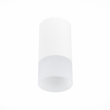 Накладной светильник ST-Luce ST100.512.01