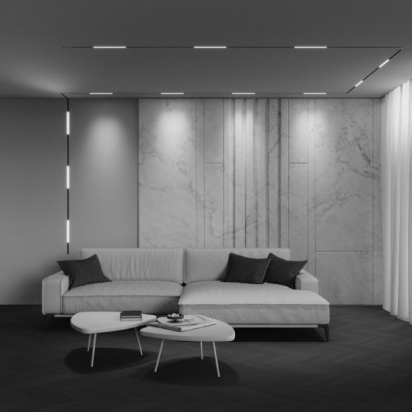 Светильник на шине Maytoni Technical TR240-2-6W4K-B