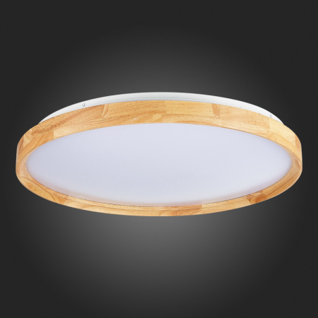 Накладной светильник Evoluce SLE201382-01