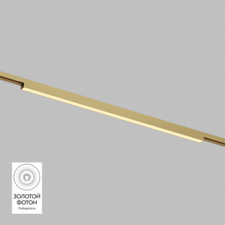 Светильник на шине Denkirs DK5752-SB