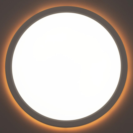 Накладной светильник Citilux CL738240EL