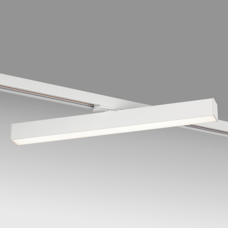 Светильник на шине Lightstar 202146