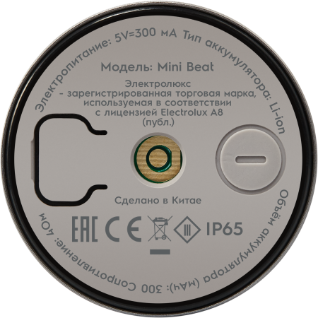 Колонка беспроводная Electrolux Mini Beat