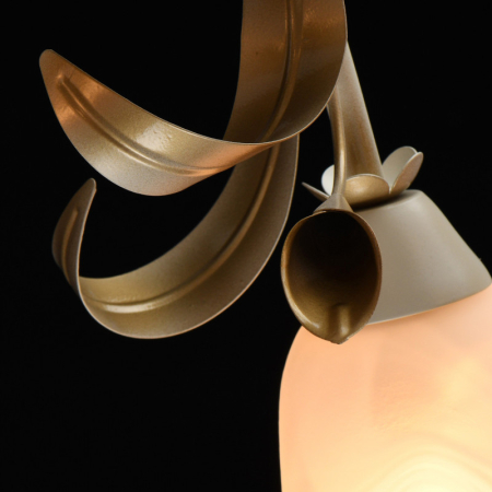 Накладная люстра MW-Light 242017508