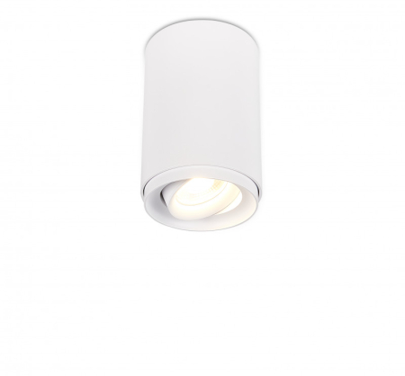Накладной светильник Simple Story 2065-1CLW