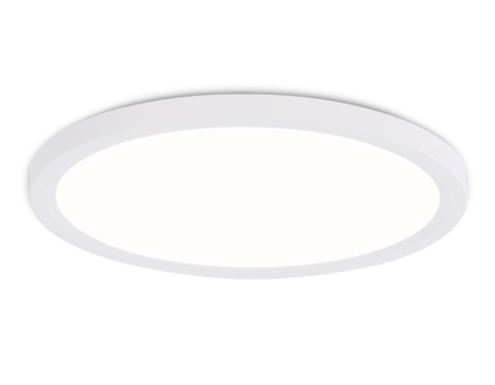 Накладной светильник Ambrella Light FZ1907