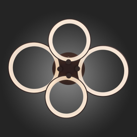 Накладная люстра ST-Luce SL867.702.04