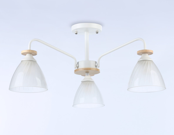 Накладной светильник Ambrella Light TR9562