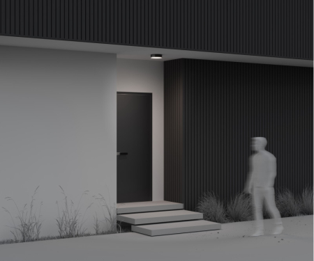 Накладной уличный светильник Maytoni O431CL-L30B4K