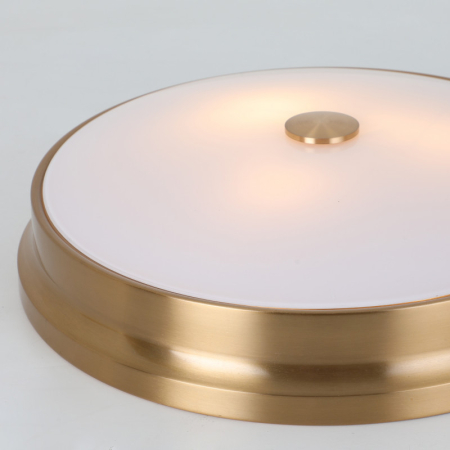 Накладной светильник Favourite 2375-3C