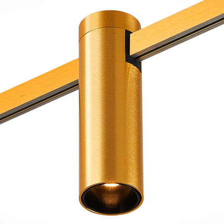 Светильник на шине ST-Luce ST810.246.05