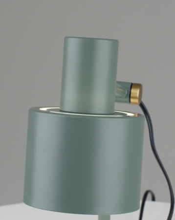 Настольная лампа Moderli V11265-1T