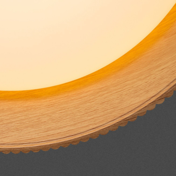 Накладной светильник ImperiumLoft 223979-23