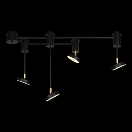 Накладная люстра LOFT IT 10189/1000