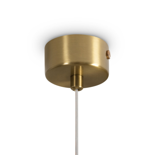 Подвесная люстра Freya FR5590PL-01BS