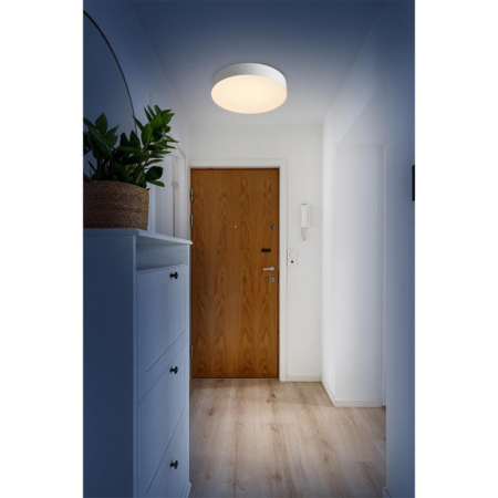 Накладной светильник Sonex 7779/DL