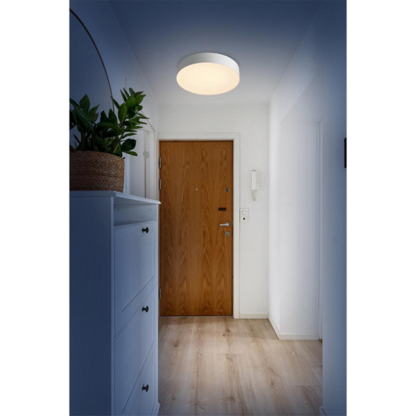 Накладной светильник Sonex 7779/DL