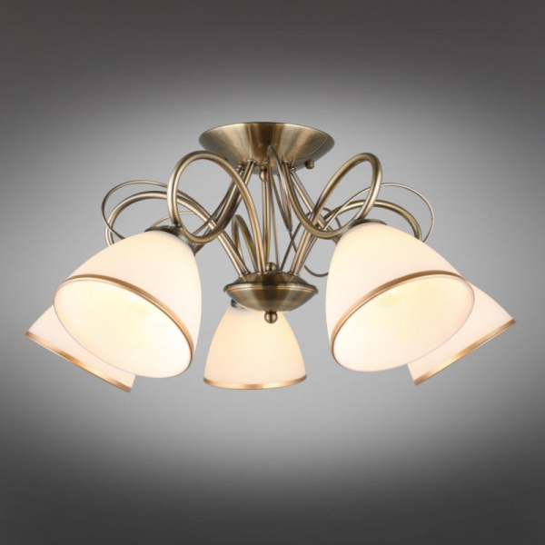 Накладная люстра Omnilux OML-25307-05