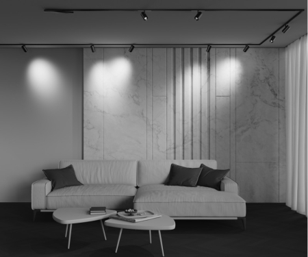 Светильник на шине Maytoni Technical TR244-12W3K-B