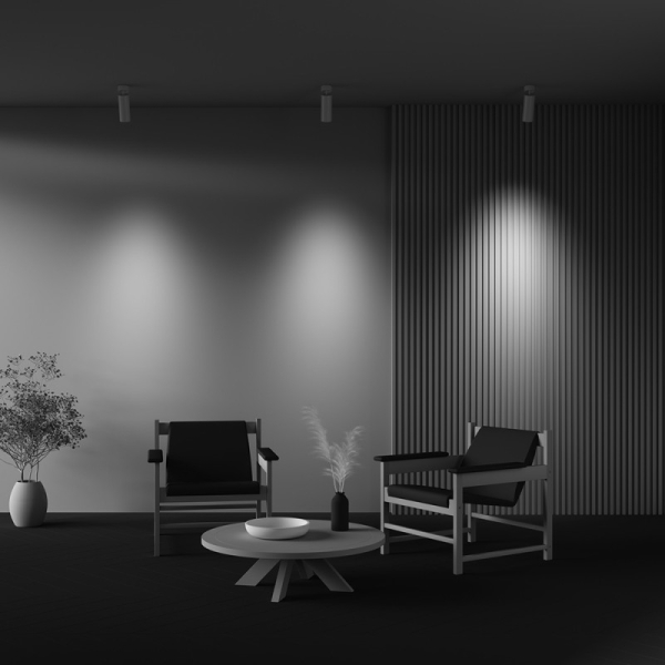 Спот Maytoni Technical C055CL-L20W2.7-3-4K-M-W