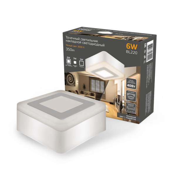 Накладной светильник Gauss BL220