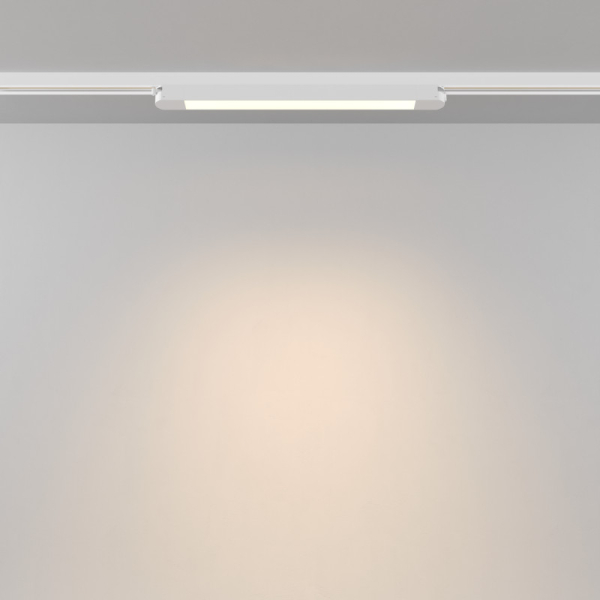 Светильник на шине Maytoni Technical TR000-1-12W3K-W_1