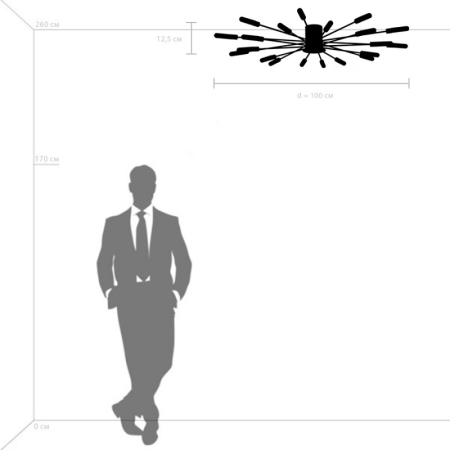 Накладная люстра Lightstar 732207