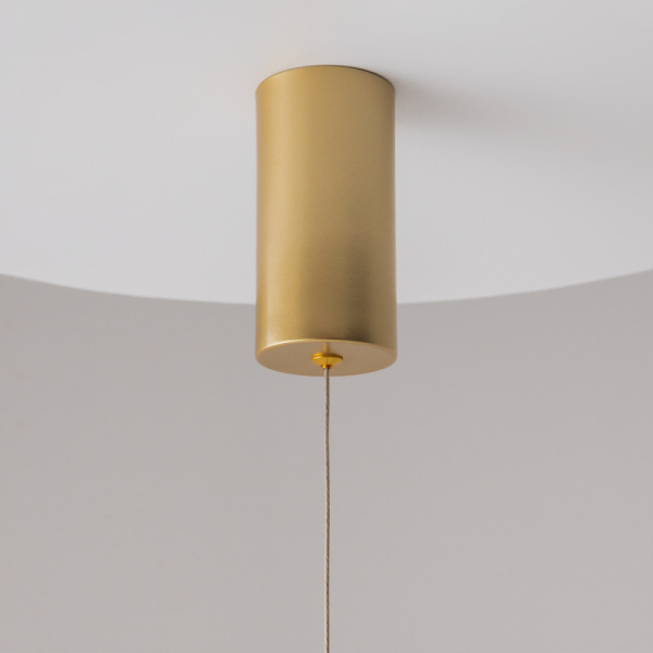 Подвесной светильник Maytoni Technical P022PL-L10MG3K