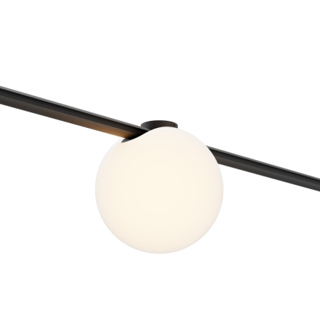 Светильник на шине Maytoni Technical TR236-1-5W3K-B