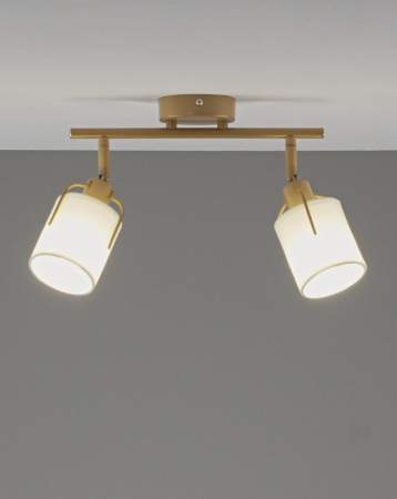 Спот Moderli V11854-2C